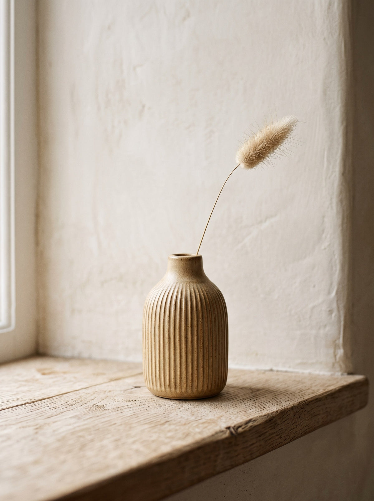 Ribbed Stoneware Bud Vase in sand glaze holding a single dried grass stem on an oak shelf